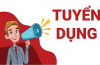 Thông báo tuyển dụng lao động hợp đồng năm 2025
